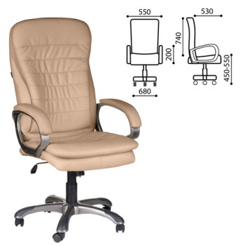 Кресло офисное BRABIX Omega EX-589 в Маслянино - maslyanino.mebel54.com | фото